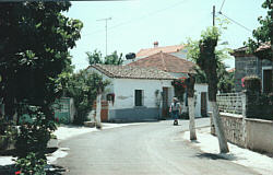 Suburbia, kalloni